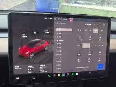 Tesla Model Y Facelift Rear-Wheel Drive - ფოტო 14
