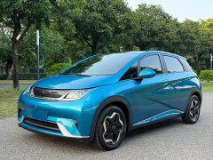 BYD Dolphin 405km Fashion Edition - ფოტო 1