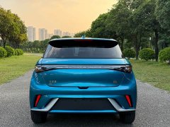 BYD Dolphin 405km Fashion Edition - ფოტო 4
