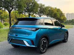 BYD Dolphin 405km Fashion Edition - ფოტო 5