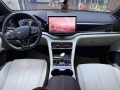 BYD Song Plus New Energy Champion Edition DM-i 110KM Flagship - ფოტო 10