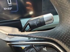 Geely Geometry E Firefly 401km Starlight - ფოტო 16