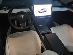 Tesla Model 3 2022 Rear-Wheel Drive - ფოტო 12