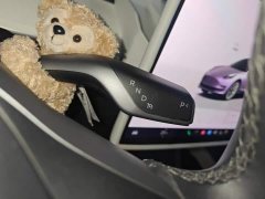 Tesla Model 3 2022 Rear-Wheel Drive - ფოტო 16
