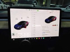 Tesla Model 3 Facelift Standard Range RWD Upgrade 3D1 - ფოტო 8