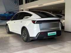 Tesla Model Y L Long Range All-Wheel Drive - ფოტო 8