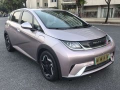 BYD Dolphin 405km Freedom Edition - ფოტო 2
