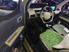 Geely Panda 200km Panda Knight - ფოტო 12