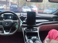 BYD Qin PLUS 2024 Glory Edition DM-i 55KM Leading - ფოტო 13
