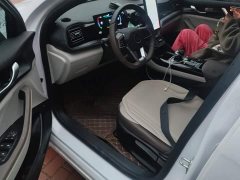 BYD Qin PLUS 2024 Glory Edition DM-i 55KM Leading - ფოტო 9
