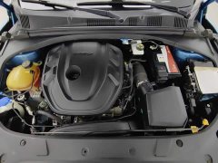 Geely Xingrui 2.0T Diesel Flagship - ფოტო 6