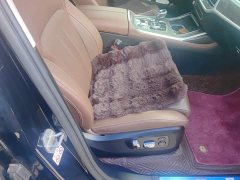 BMW X7 xDrive40i Premier Luxury Package - ფოტო 8