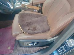 BMW X7 xDrive40i Premier Luxury Package - ფოტო 9
