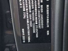 Li Auto L9 Max - ფოტო 13