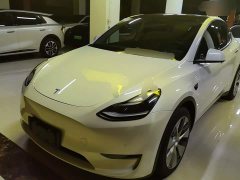 Tesla Model Y Long Range All-Wheel Drive - ფოტო 1