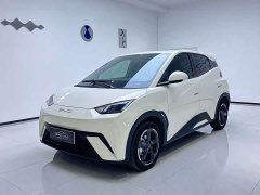 BYD Seagull Freedom Edition - ფოტო 1