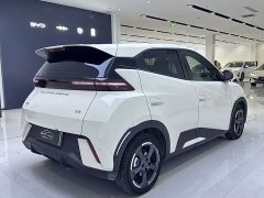 BYD Seagull Freedom Edition - ფოტო 12