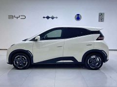 BYD Seagull Freedom Edition - ფოტო 2
