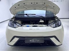 BYD Seagull Freedom Edition - ფოტო 9