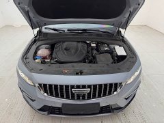 Geely Xingrui 2.0T Diesel Premium - ფოტო 19