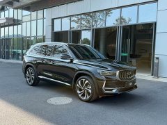 Geely Xingyue L 2.0TD High-Power Automatic FWD Horizon Edition - ფოტო 3