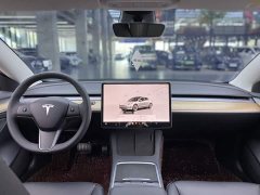 Tesla Model 3 2022 Rear-Wheel Drive - ფოტო 15
