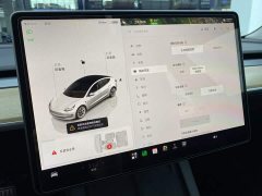 Tesla Model 3 2022 Rear-Wheel Drive - ფოტო 17