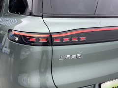 IM Motors Zhiji LS8 52 Max Luxury Six-Seater - ფოტო 6