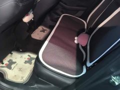 Geely Xingrui 2025 Oriental Radiance 1.5TD Kunlun Edition - ფოტო 11