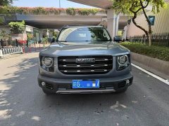 Great Wall Dachshund 2.0T DCT Four-wheel Drive Howling Heavenly Dog Edition - ფოტო 2