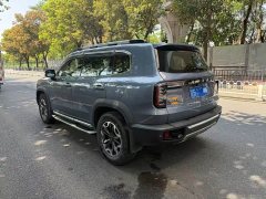 Great Wall Dachshund 2.0T DCT Four-wheel Drive Howling Heavenly Dog Edition - ფოტო 4