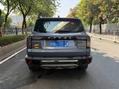 Great Wall Dachshund 2.0T DCT Four-wheel Drive Howling Heavenly Dog Edition - ფოტო 5