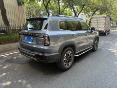 Great Wall Dachshund 2.0T DCT Four-wheel Drive Howling Heavenly Dog Edition - ფოტო 6