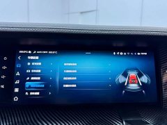 Tank 300 2021 City Edition 2.0T Stylish - ფოტო 15