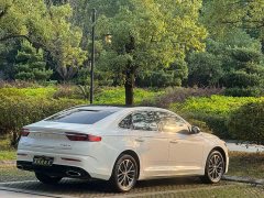 Geely Xingrui 2.0T Diesel Luxury - ფოტო 12
