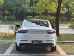 Geely Xingrui 2.0T Diesel Luxury - ფოტო 13