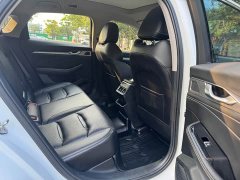 Geely Xingrui 2.0T Diesel Luxury - ფოტო 6