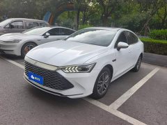 BYD Qin PLUS Champion Edition DM-i 120KM Leading - ფოტო 1