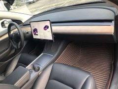 Tesla Model 3 Standard Range RWD Upgrade - ფოტო 11