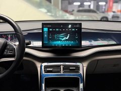 BYD Qin PLUS 2021 EV 500KM Luxury - ფოტო 13
