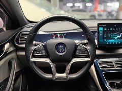 BYD Qin PLUS 2021 EV 500KM Luxury - ფოტო 14