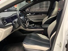 BYD Qin PLUS 2021 EV 500KM Luxury - ფოტო 9