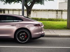 Porsche Panamera 2020 Panamera 10th Anniversary Edition 2.9T - ფოტო 19