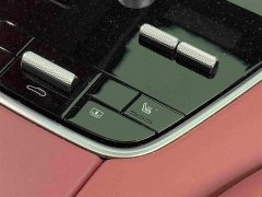 Porsche Panamera Executive Extended Wheelbase 2.9T - ფოტო 12