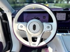 Maextro Zun S800 Extended Range Starlight Executive Edition 4-Seater (192-line LiDAR) - ფოტო 8