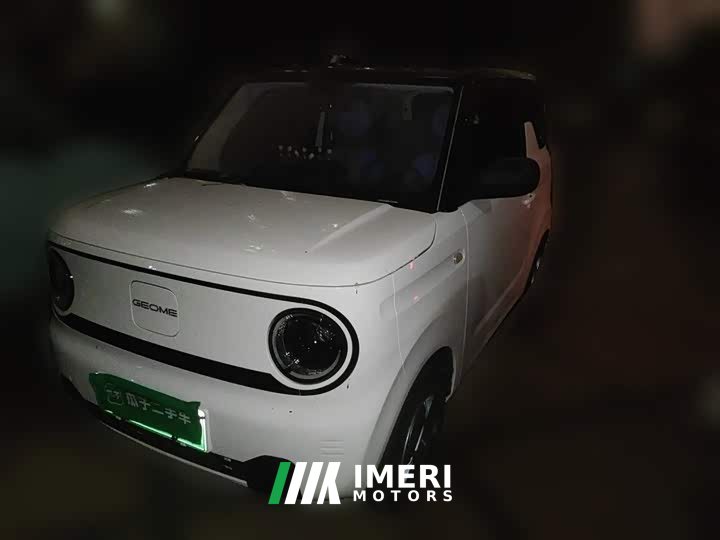 Geely Panda Mini 200km Endurance Edition - ავტომობილი ჩინეთიდან