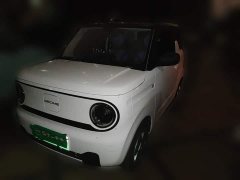 Geely Panda Mini 200km Endurance Edition - ფოტო 1