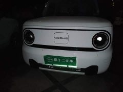 Geely Panda Mini 200km Endurance Edition - ფოტო 2