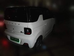 Geely Panda Mini 200km Endurance Edition - ფოტო 4
