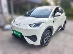 BYD Seagull Smart Drive 405km Flight Edition - ფოტო 1